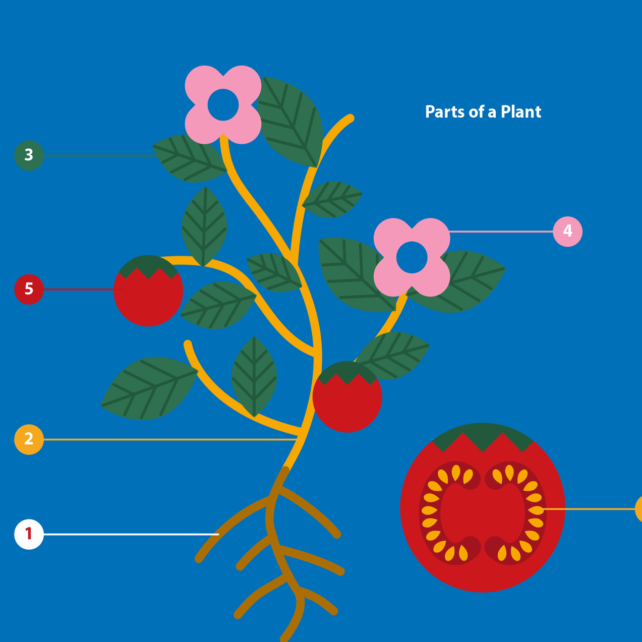 MindChamps P3 Science E-Guide